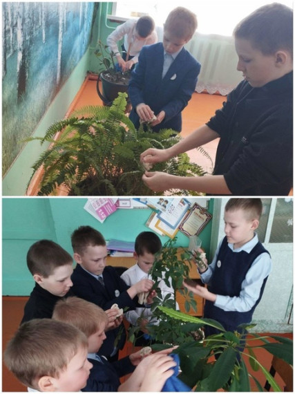 Орлёнок-доброволец.